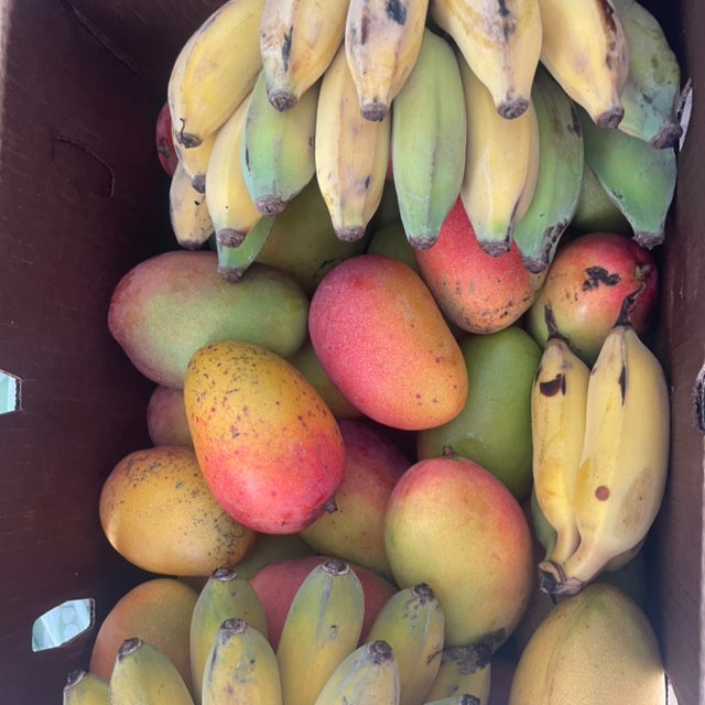 Chef Coco Variety Abundance Box